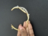 Picture of Bracelets combo
