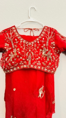 Picture of PL748 New Red space silk saree with all over work blouse 