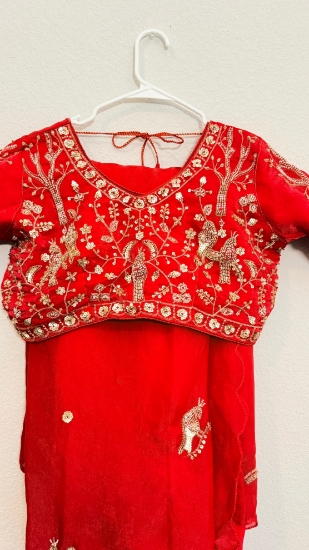 Picture of PL748 Red space silk saree with all over work blouse 