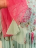 Picture of Varuni Couture Anarkali - Used only once 
