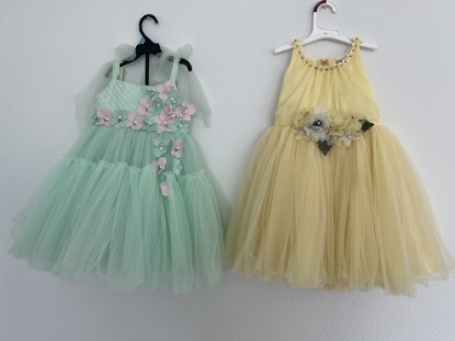 Picture of 2 soft net partywear elegant frocks with floral designs and layers