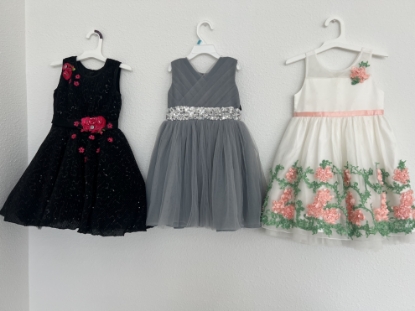 Picture of 3 Partywear cancan frocks for the price of 1 with sequence and floral design 2-4Y