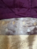 Picture of Tissue benaras saree