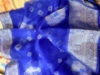 Picture of Bandini semi-organza saree