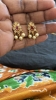 Picture of Chokar style sets with earrings 
